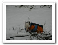 SANY0062
