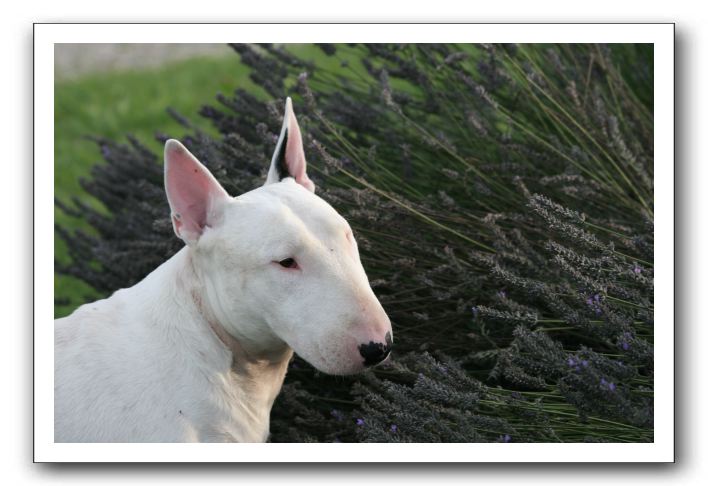 IMG_1363