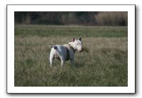 IMG_7397