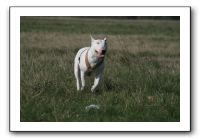 IMG_7398