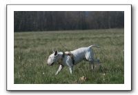 IMG_7399