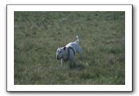 IMG_7401