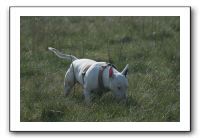 IMG_7402