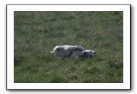 IMG_7405