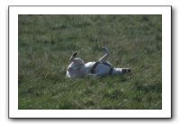 IMG_7406