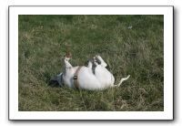IMG_7410