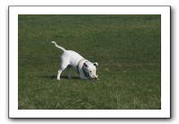 IMG_7421