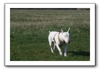 IMG_7391