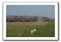 IMG_7450