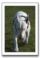 IMG_7460