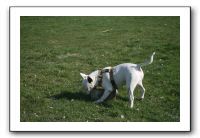 IMG_7479