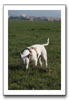 IMG_7485