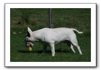 IMG_1418