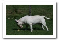 IMG_1419