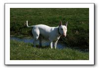 IMG_0512