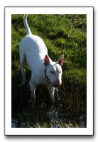 IMG_0681