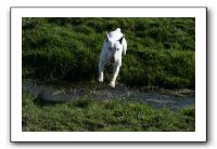 IMG_0554