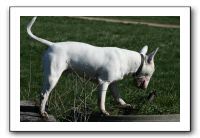 IMG_0581