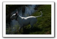 IMG_0520