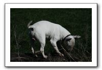 IMG_0653