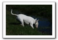 IMG_0515