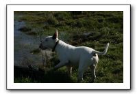 IMG_0567