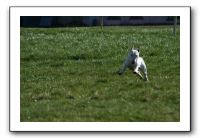 IMG_0528