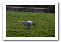 IMG_0523