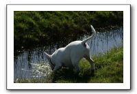 IMG_0518