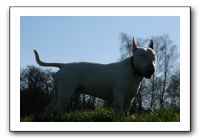 IMG_0659
