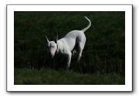 IMG_0535
