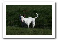 IMG_0540