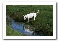 IMG_0677
