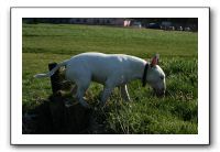IMG_0630