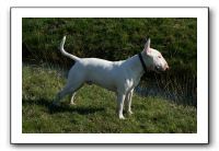 IMG_0546