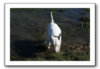 IMG_0553