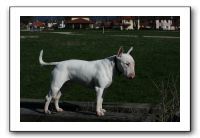 IMG_0573