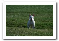 IMG_0511