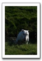 IMG_0685
