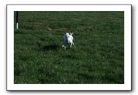 IMG_0570