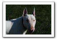 IMG_0655
