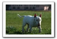 IMG_0650