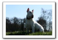 IMG_0665