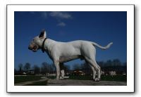 IMG_0507
