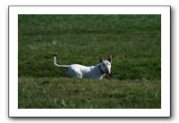 IMG_0510