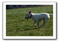 IMG_0671