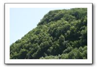 IMG_8459
