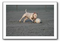 IMG_7358