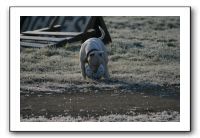 IMG_7373