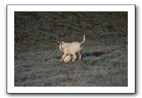 IMG_7384